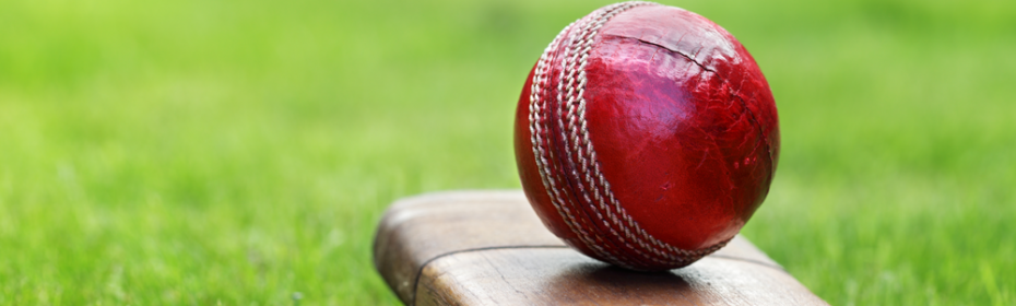 Cricket_Banner_Image